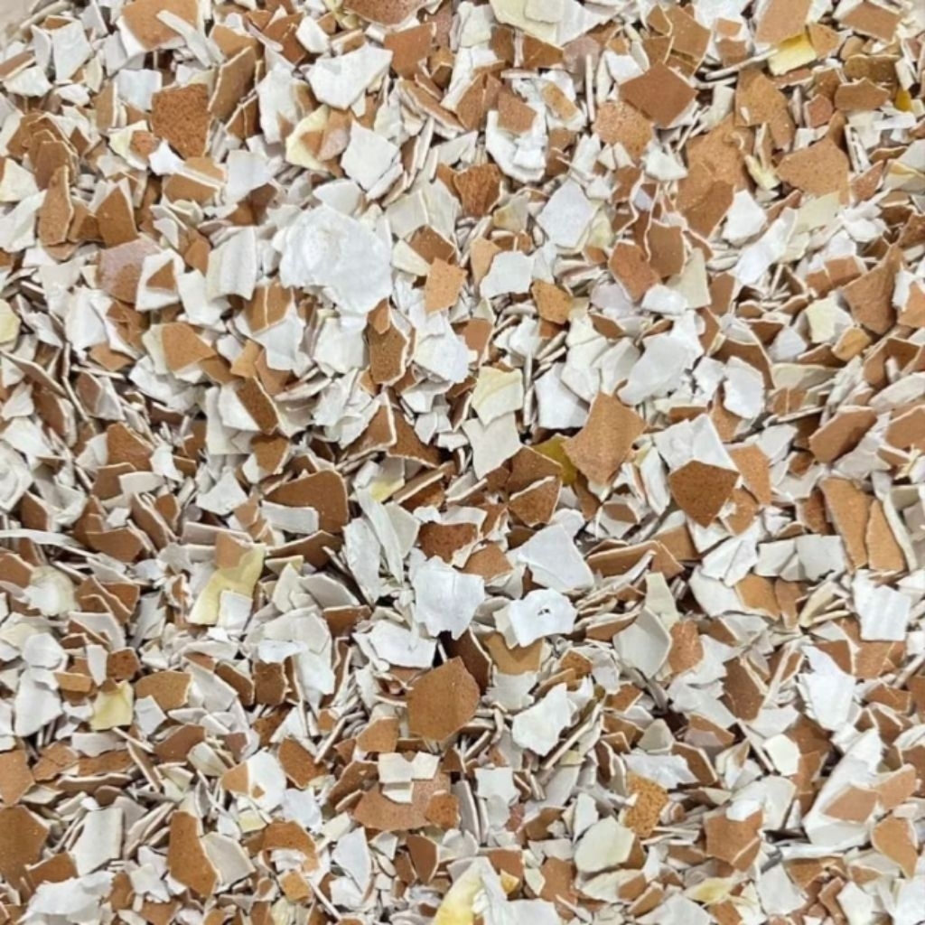 Cangkang telur ayam 1kg