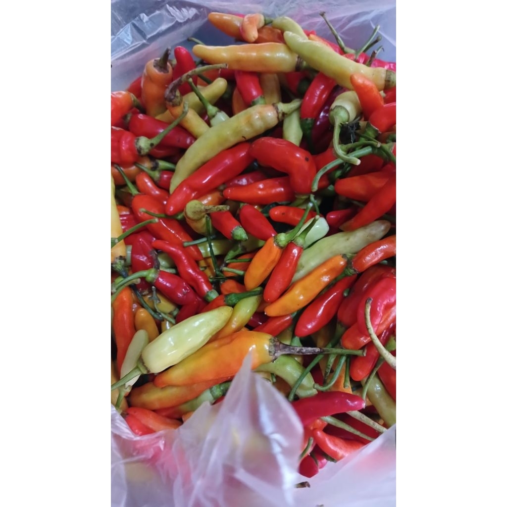 Cabai Rawit 1kg
