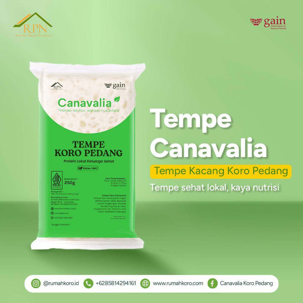 Canavalia Tempe Kacang Koro Pedang