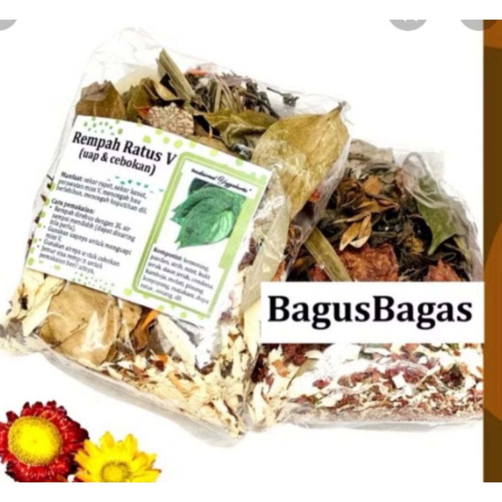 Ratus V Ratus Miss V Spa  mazakani CEBOK dan RATUS UAP