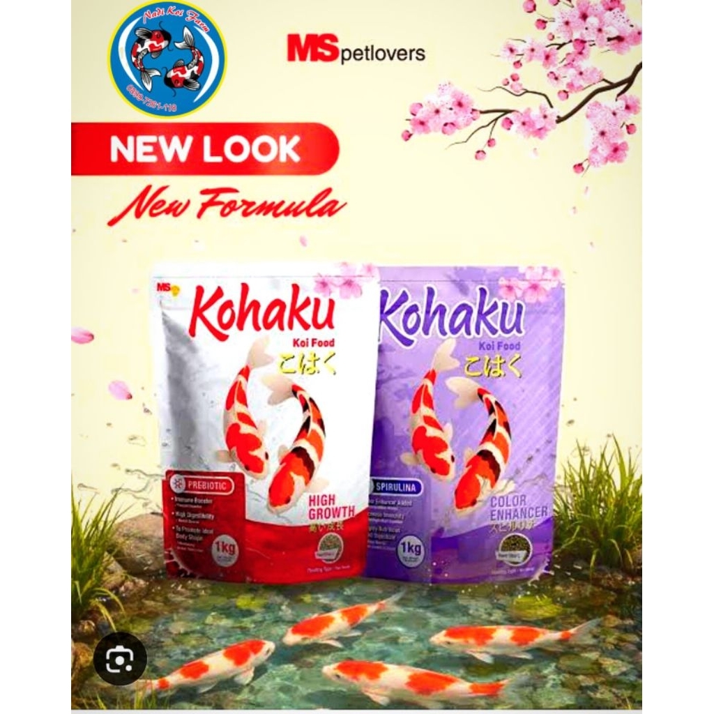 Kohaku Pakan Koi Color & growht