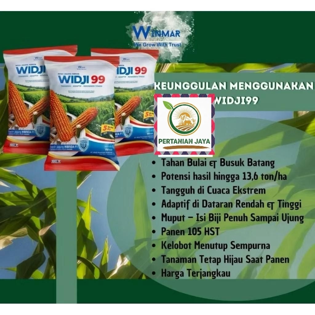 benih jagung hibrida Widji 99 5 kg