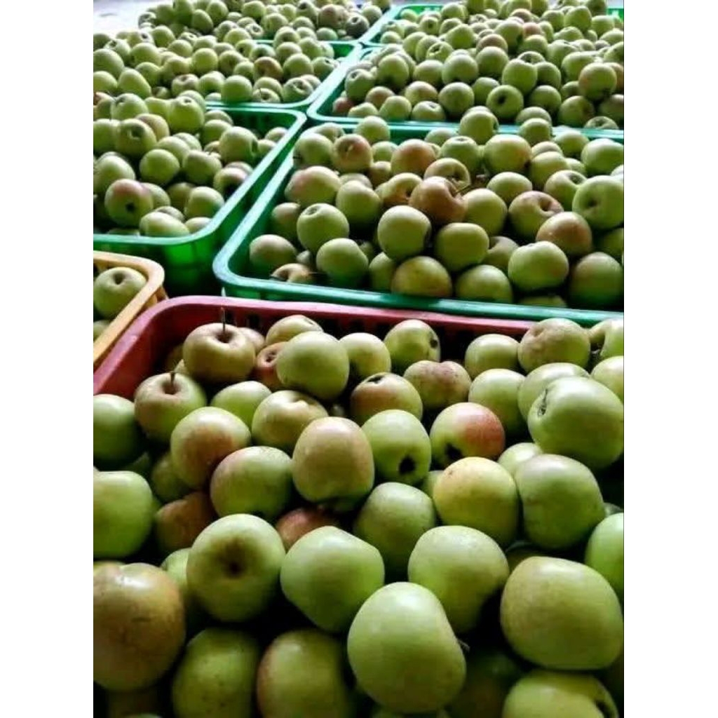 APEL MANALAGI 1KG KOTA BATU
