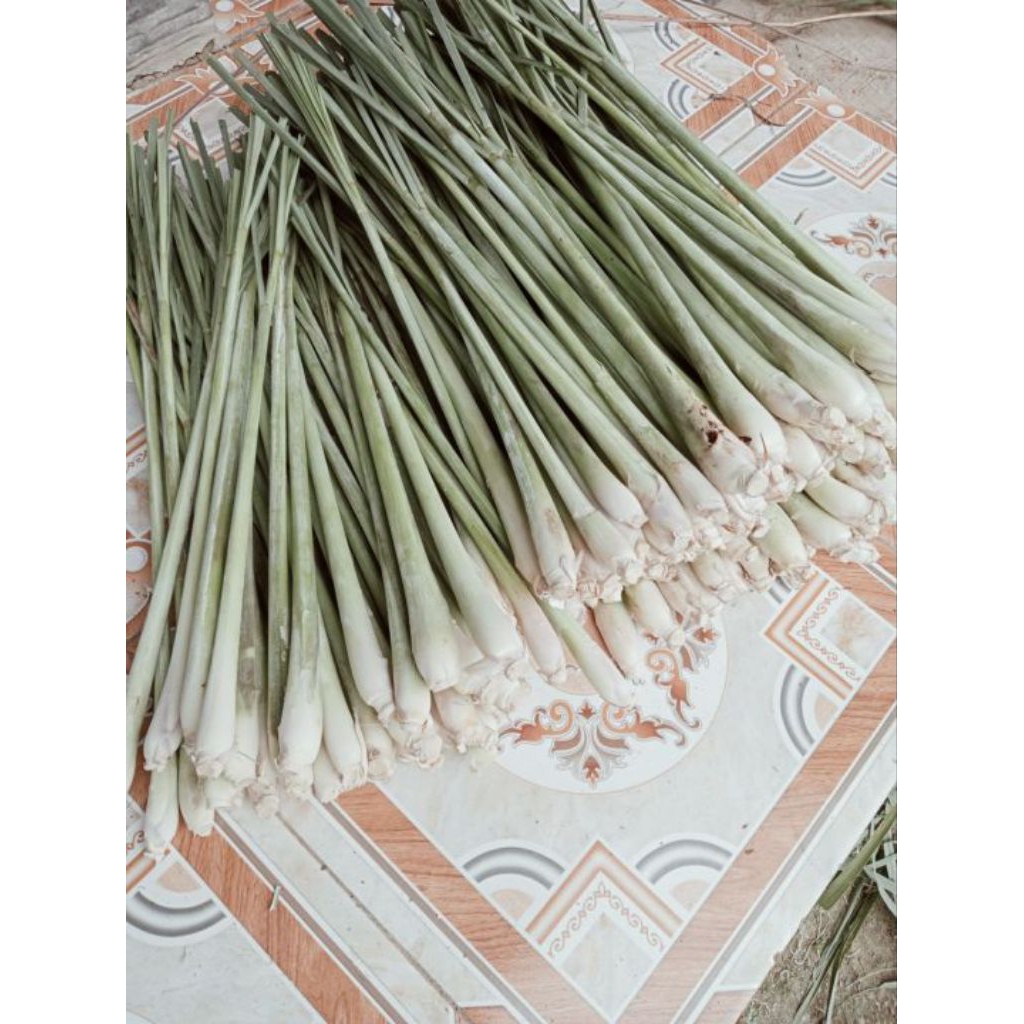 Daun Serai segar 1kg