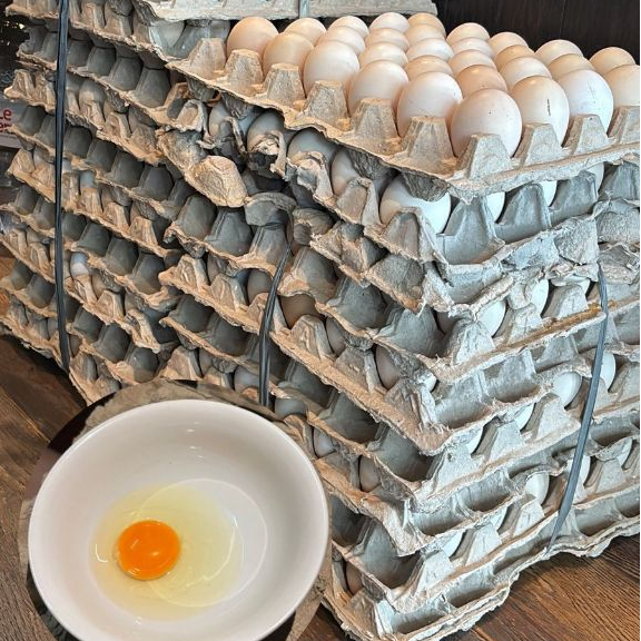 TELUR AYAM KAMPUNG OMEGA/TELUR KAMPUNG OMEGA - Omega 3