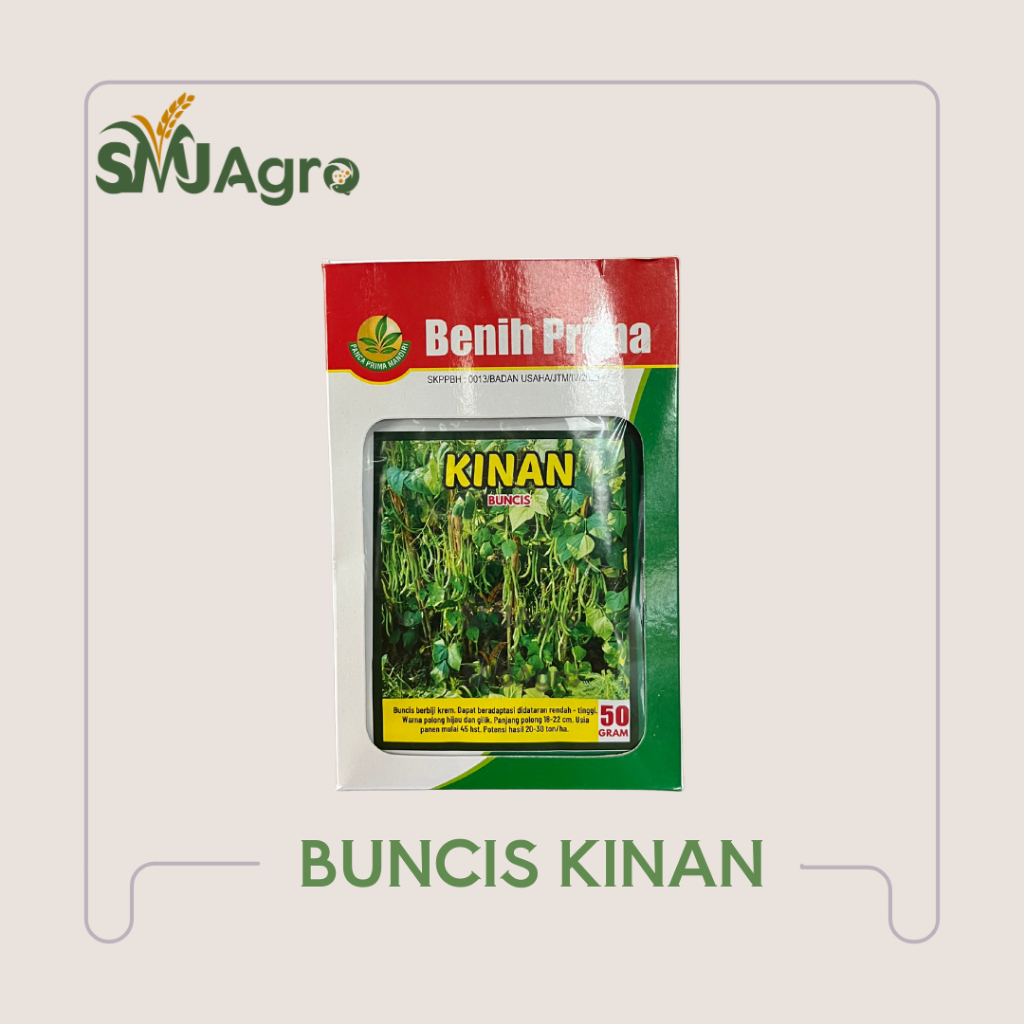 Benih Buncis Kinan Cap Benih Prima - Benih Buncis Unggulan