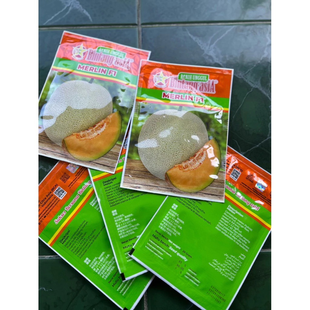 Merlin f1 (Benih Melon) 20grm