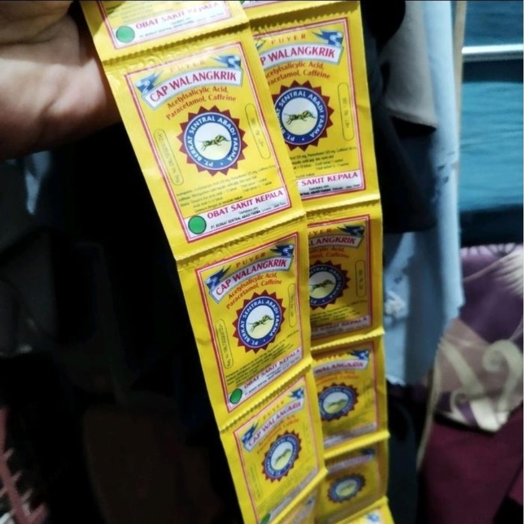 1 Renceng PUYER WALANGKERIK – Obat Tradisional, Badan Jadi Lebih Lega