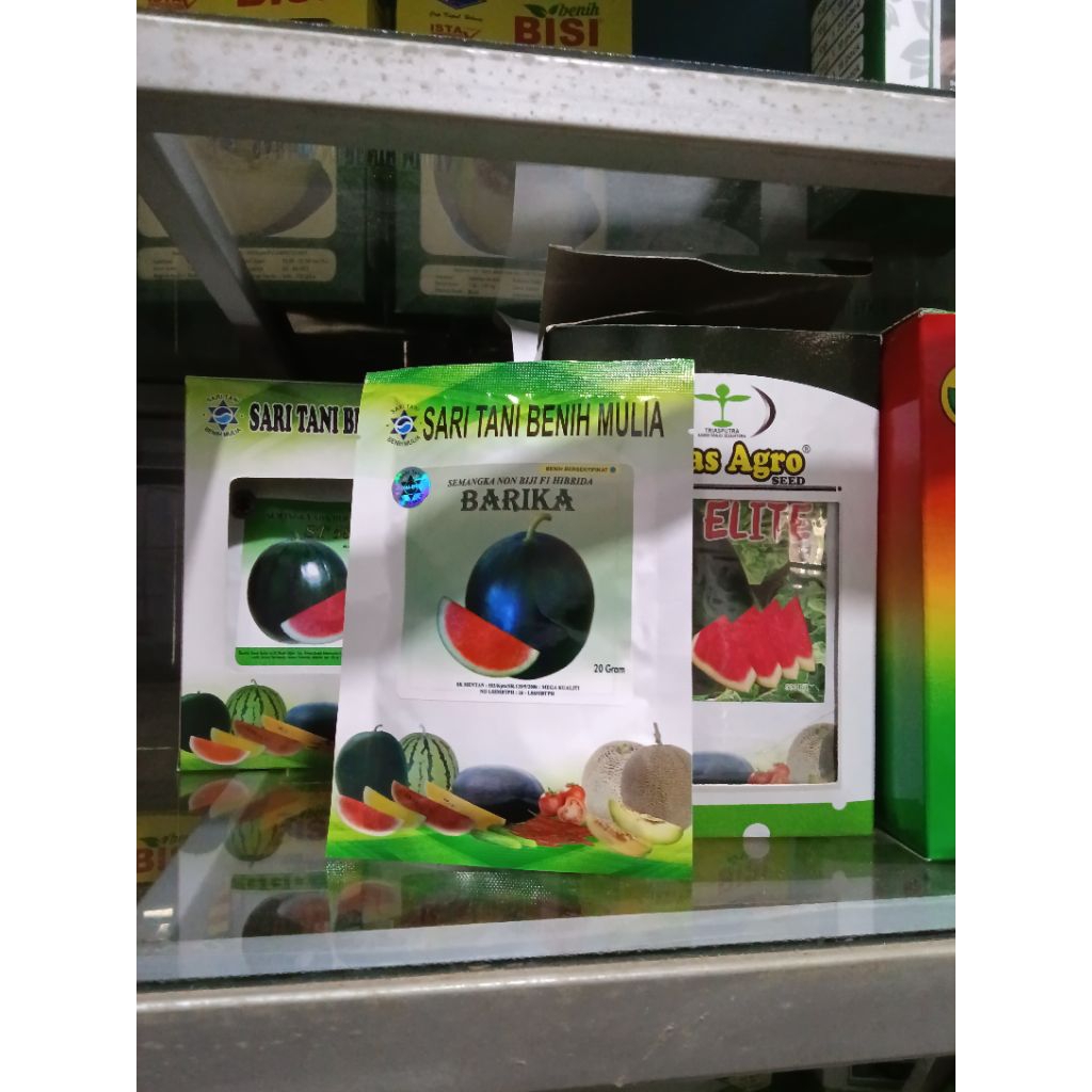 Benih Bibit Semangka Non Biji Lentera F1, Tipe jumbo besar Isi 20 Gram 2026 (Terbaru) - Benih Bisi C