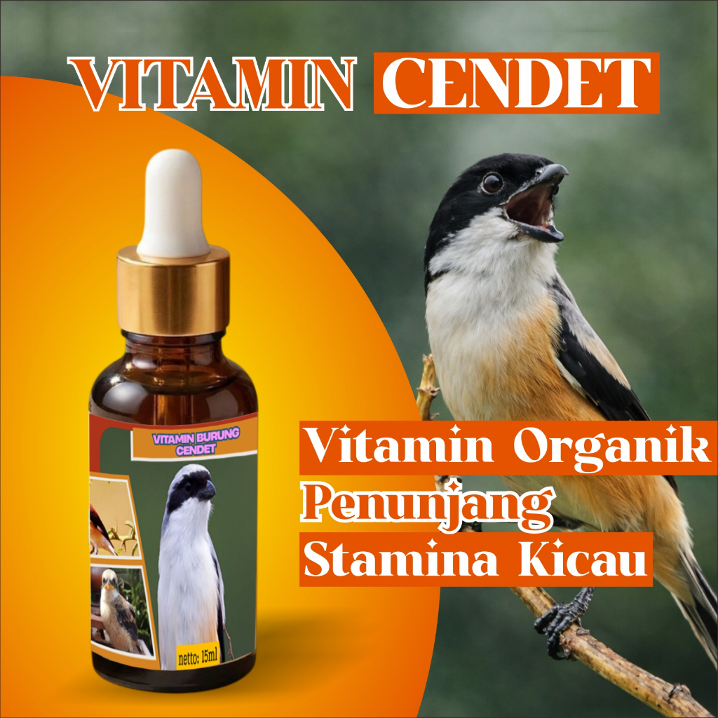 vitamin cendet 15ml, kicau burung pentet makin gacor, Doping Cendet Gacor