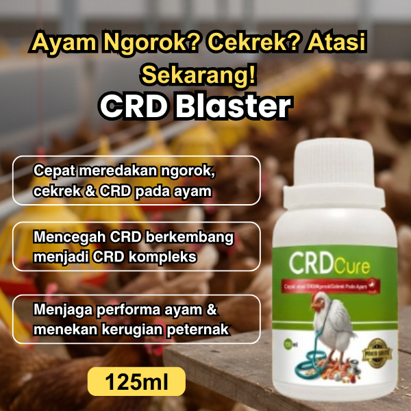 CRD BLASTER Obat Mencegah Mengatasi Cekrek Ngorok Pada Ayam Cepat dan Ampuh