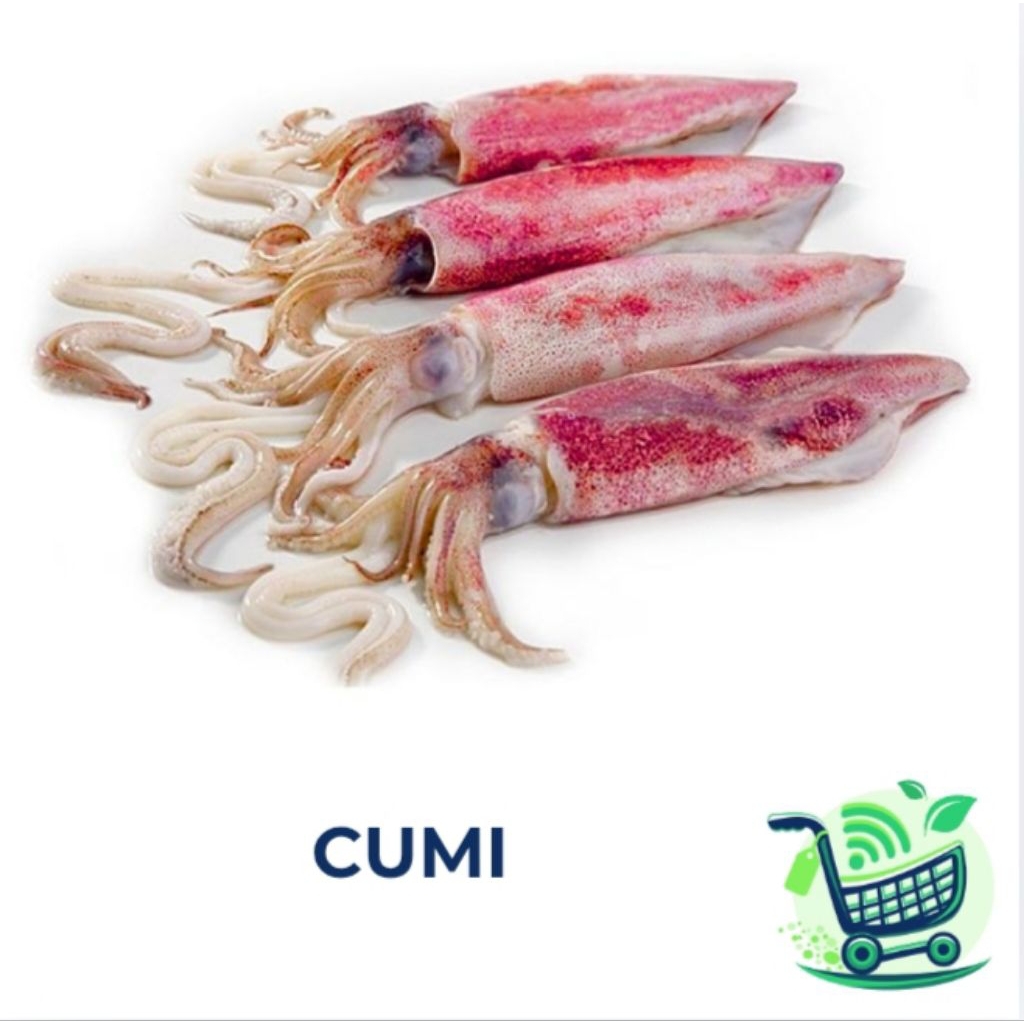 CUMI SEGAR +-250GRAM (FRESH) INSTANT SEMARANG
