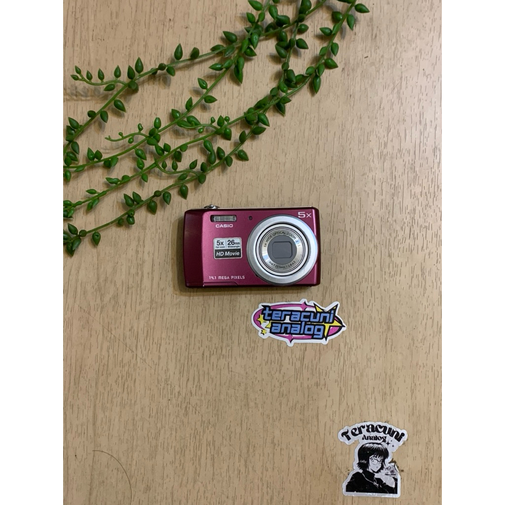 CASIO EXILIM QV-R200