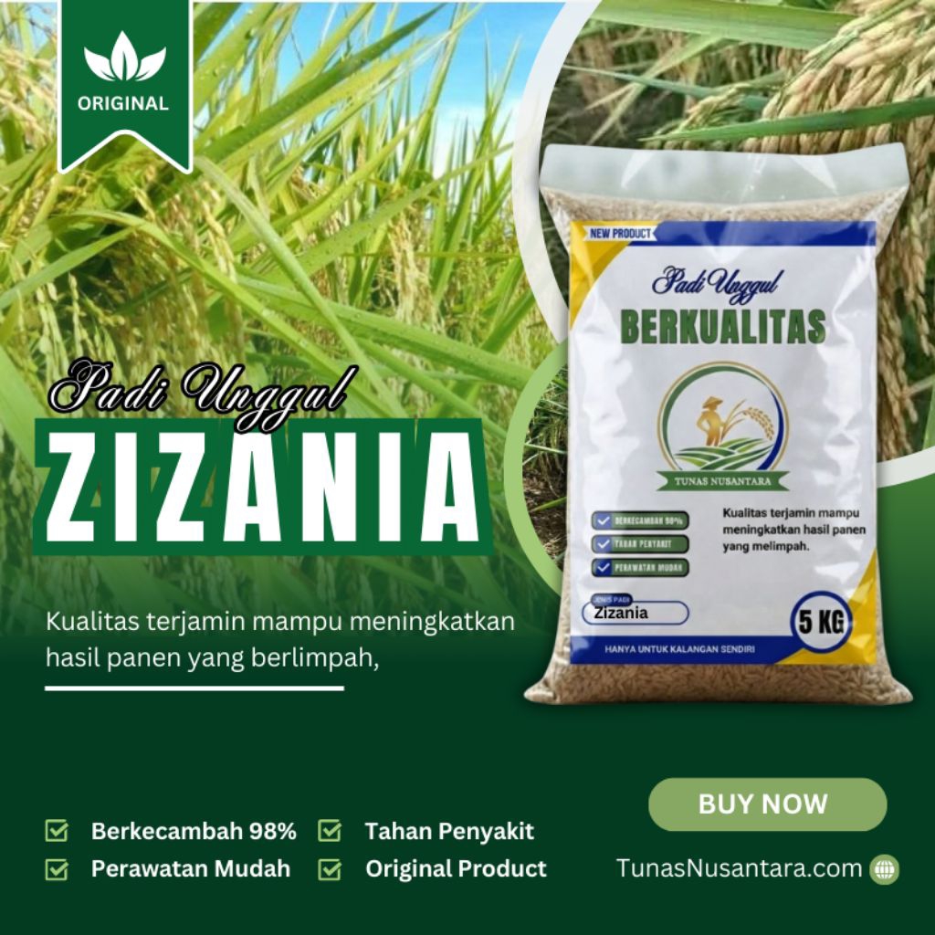 Benih padi unggu ZIZANIA kemasan 5kg original berkualitas