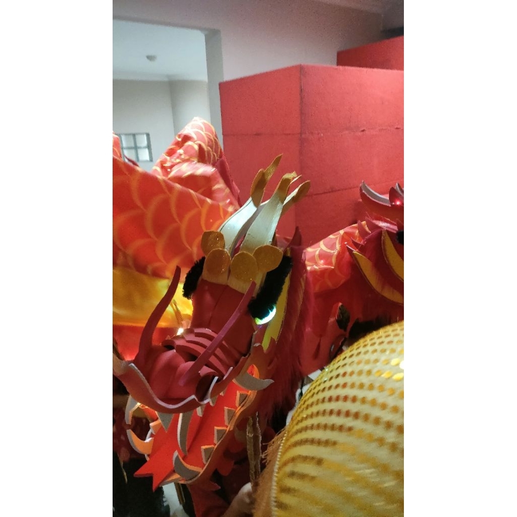 Naga Liong barongsai Full set murah dengan Bola