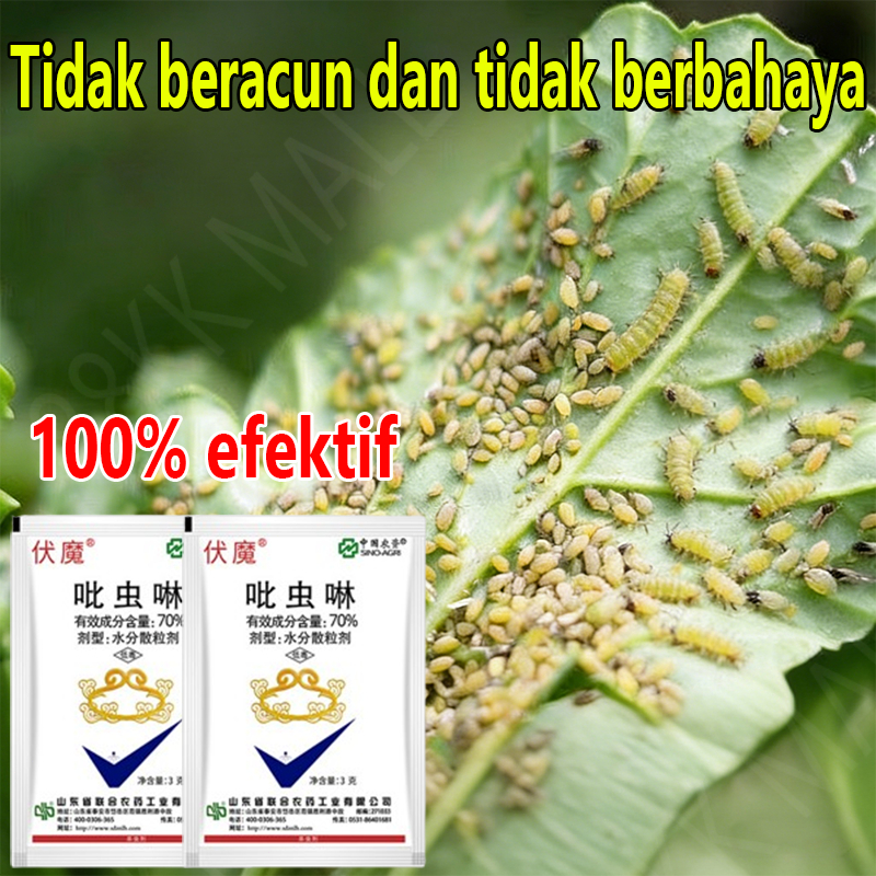 pembasmi hama daun tanaman oba hama tanaman insektisida kutu putih racun hama tanaman paling ampuh o