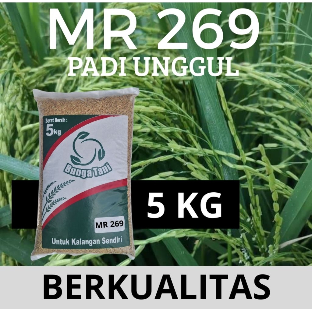 benih padi MR 269 kemasan 5kg