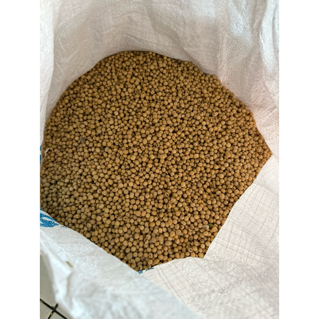 Kacang Kedelai super (import Amerika) 1kg