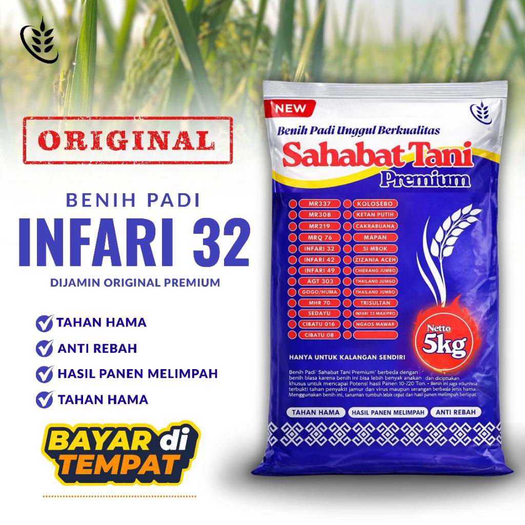 benih padi INFARI 32 kemasan 5KG