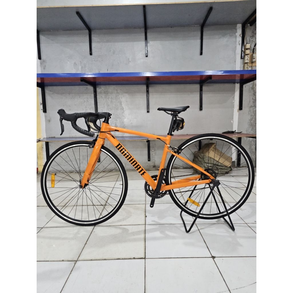 SEPEDA BALAP ROADBIKE DOMINATE 700c RR 2 x 10 Speed