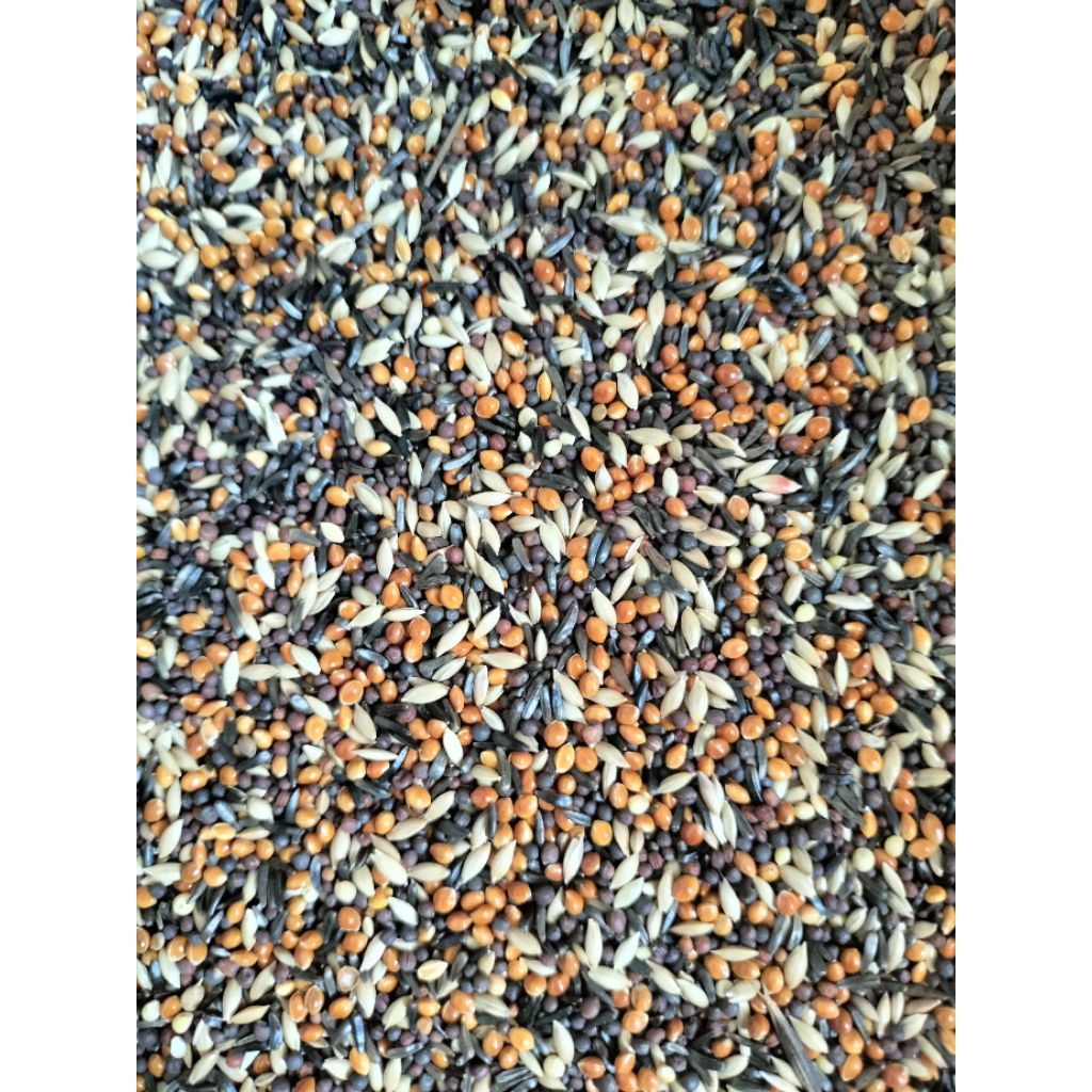 racikan makanan burung kenari patkit red siskin mix 1kg