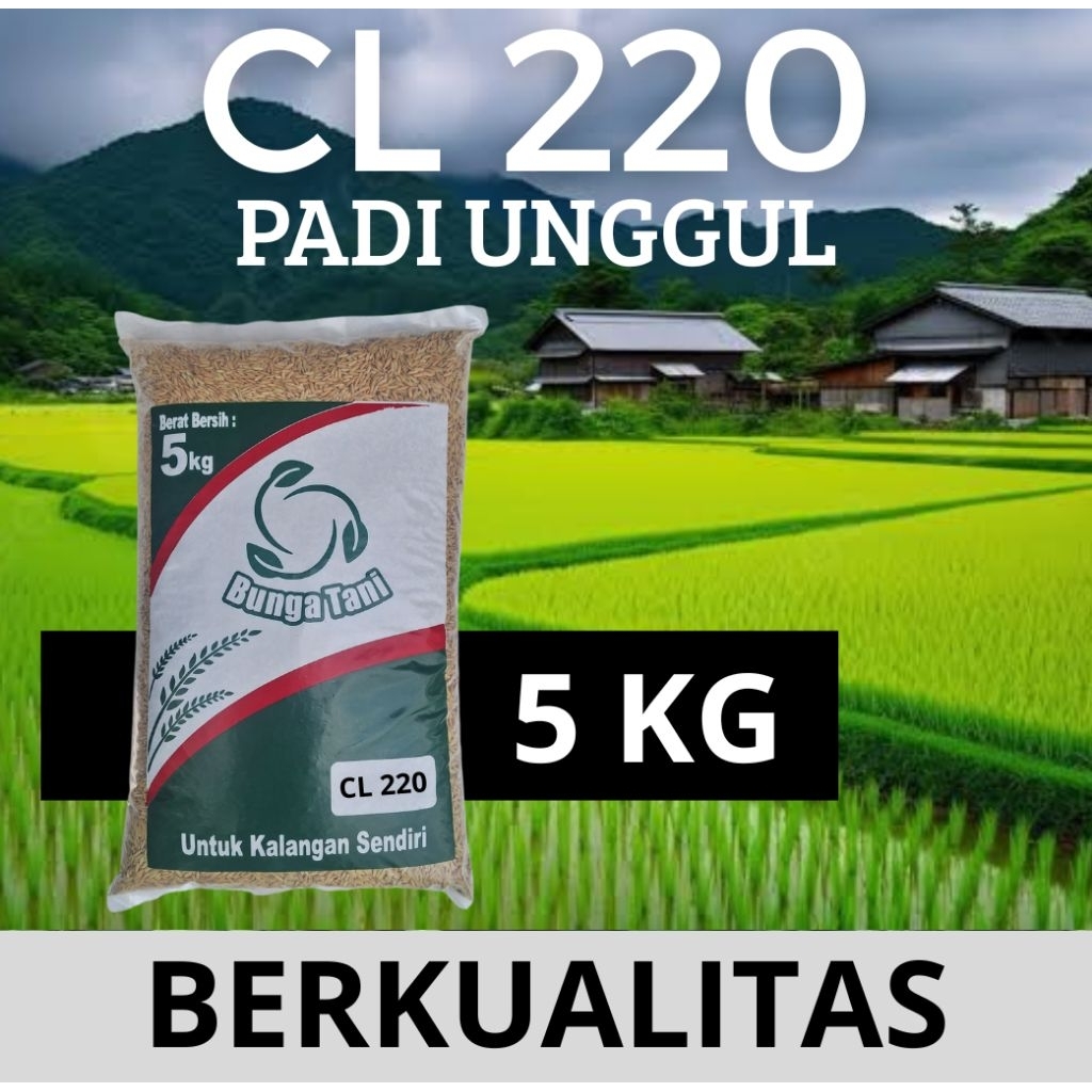 benih padi CL 220 kemasan 5kg