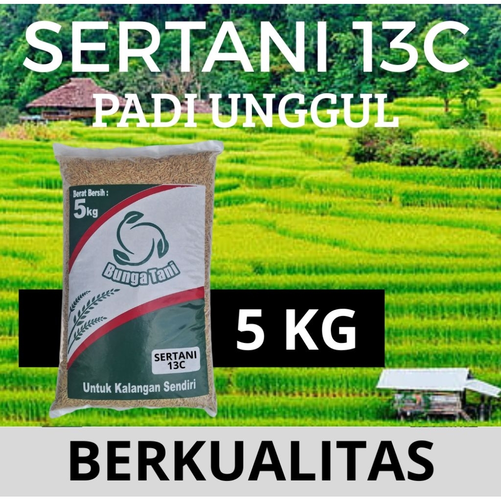 benih padi SERTANI 13C kemasan 5kg