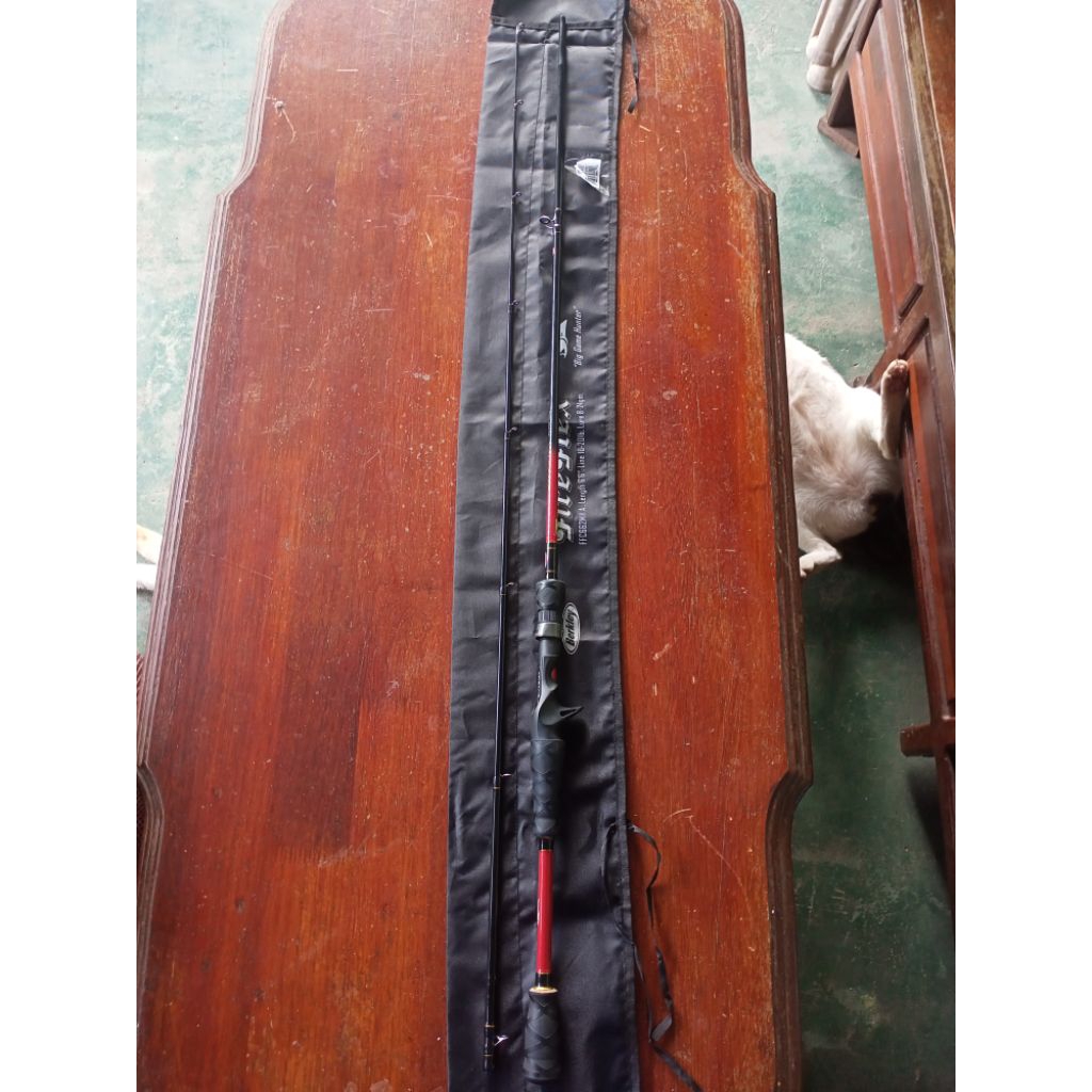 Joran BC berkley fire flex 198 cm 10-20 lb full fuji