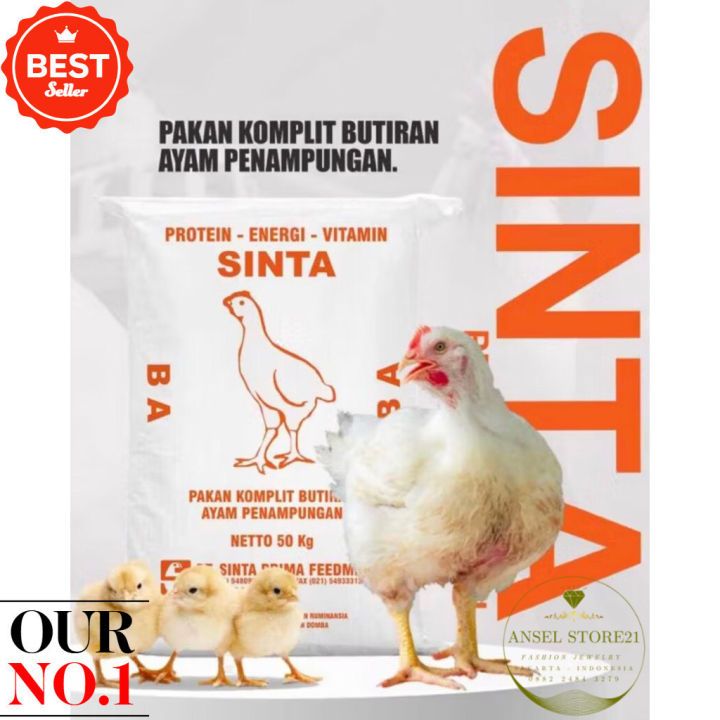 Pakan Ayam Buras SINTA BA Nutrisi Lengkap, Tingkatkan Produksi Telur, Pertumbuhan Optimal