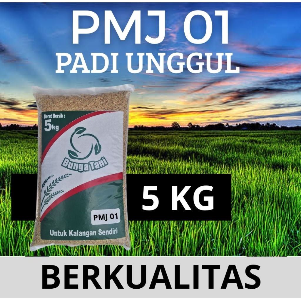 benih padi PMJ 01 kemasan 5kg