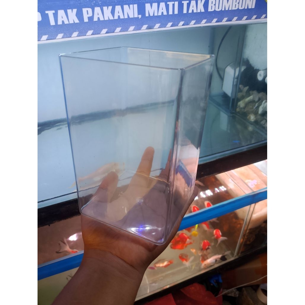 Soliter akrilik 2L / akuarium Cupang / akuarium mini / akuarium lengkung