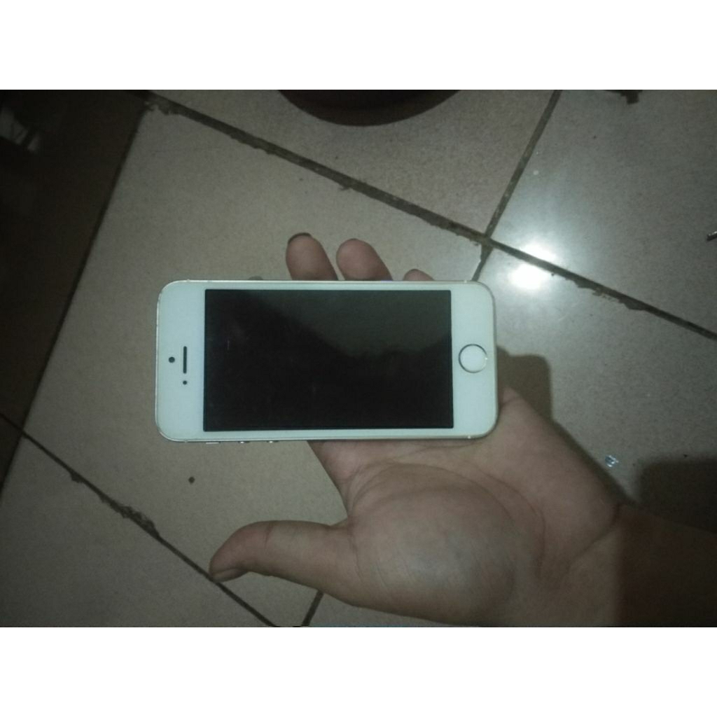 iPhone 5s minus