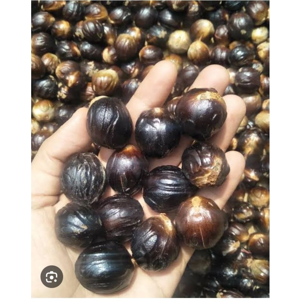 biji pala basah per 1kg