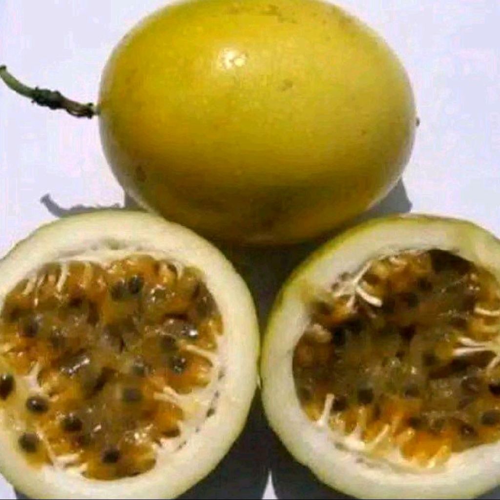 Buah markisa 1kg manis asam segar