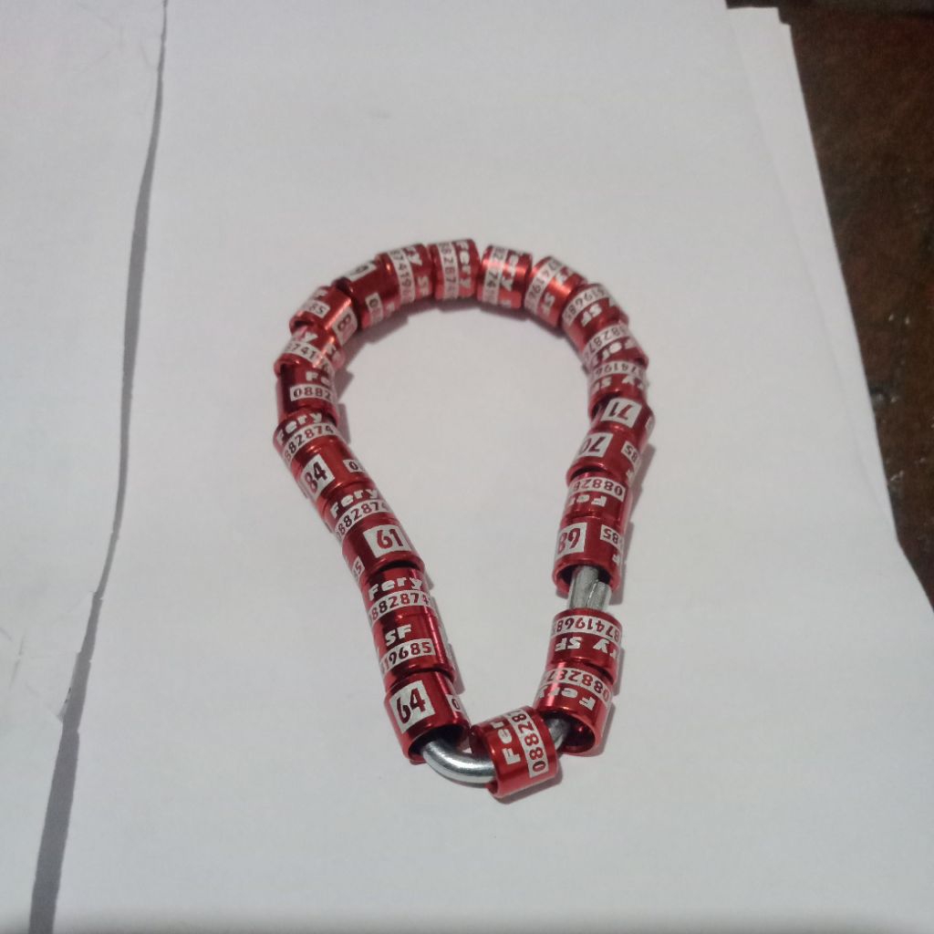 fery sf ring murai dewasa