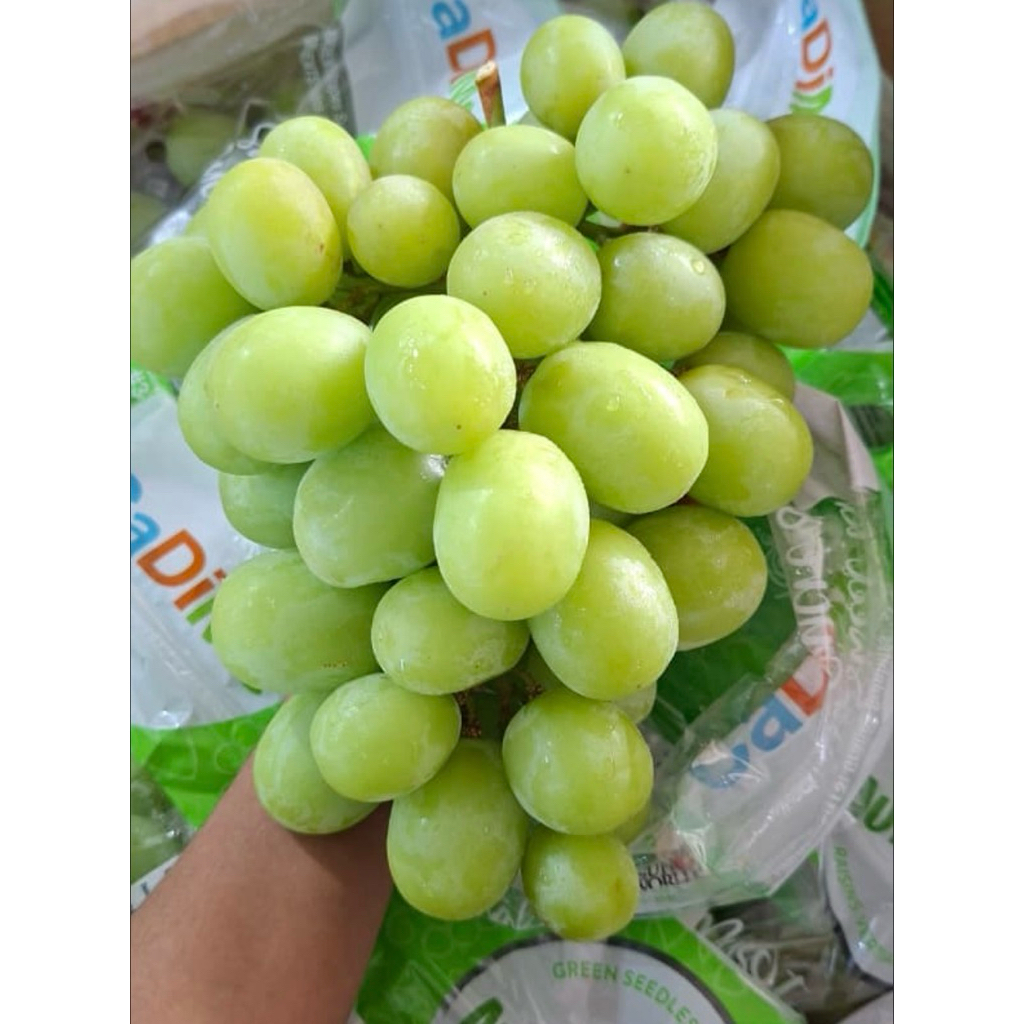 anggur hijau | buah anggur hijau manis | anggur hijau import