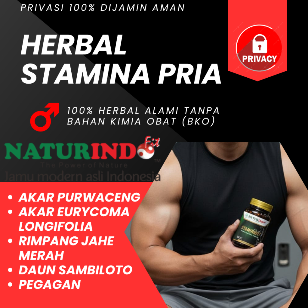 Obat Herbal Stamina Pria Staminofit Naturindo