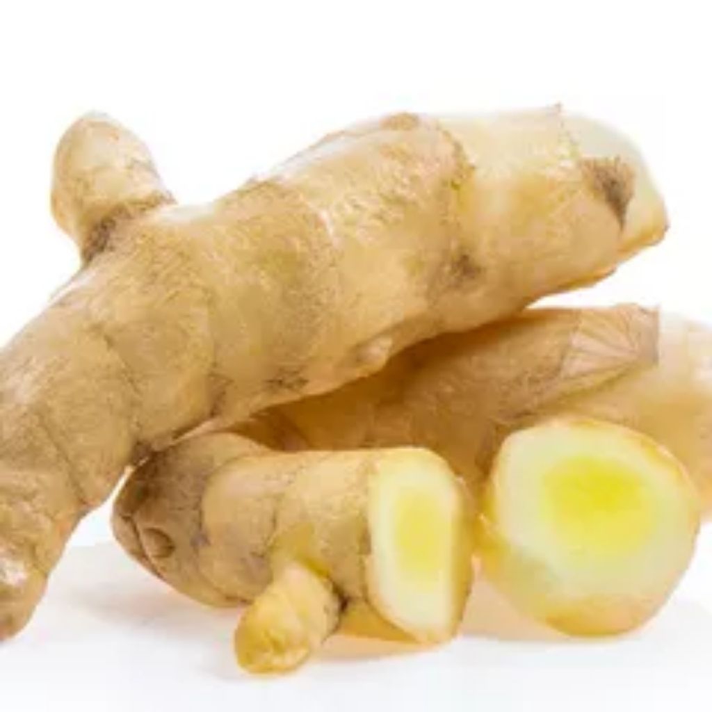 Kunyit Putih Segar 1 kg - Manfaat Kesehatan, Anti-Inflamasi, Aroma Harum