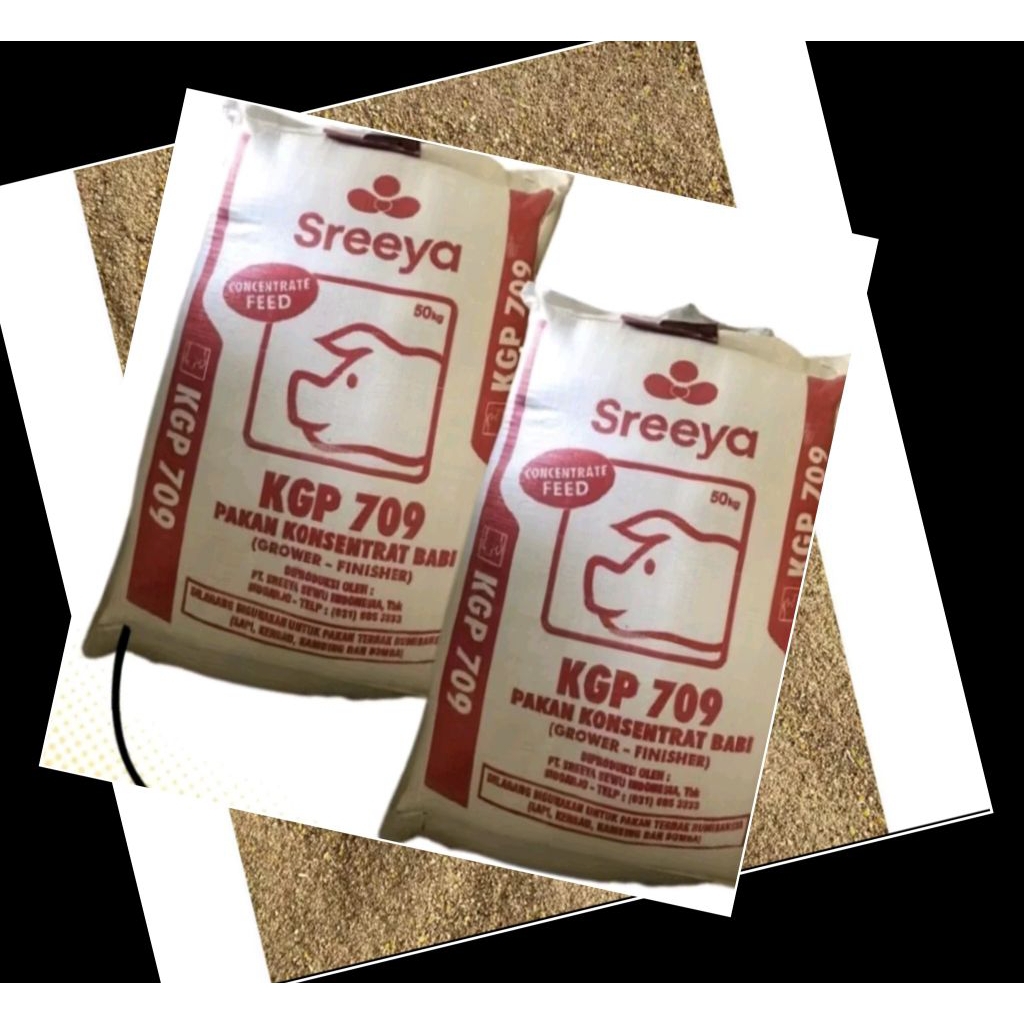 Konsentrat kgp 709 babi growwer pakan ternak