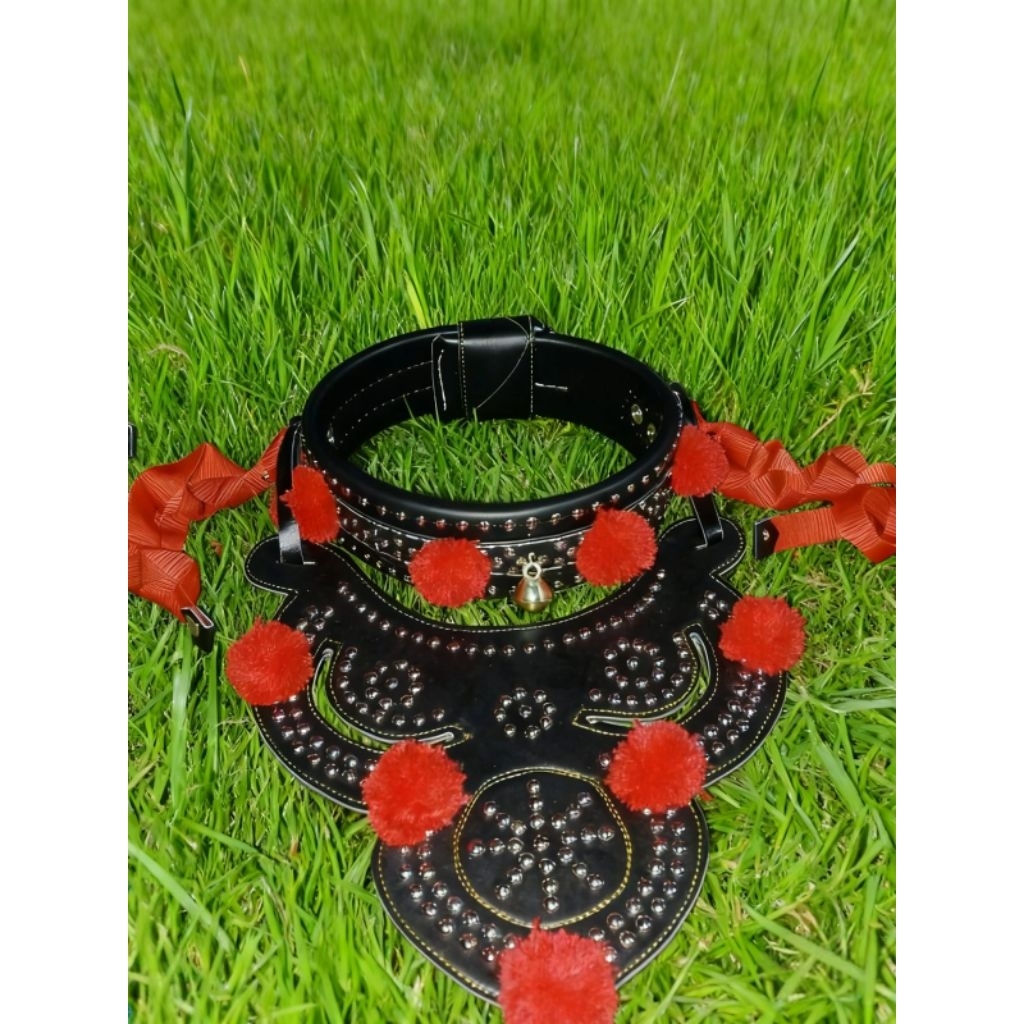 gongseng full sett omyok /kongkorong domba garut