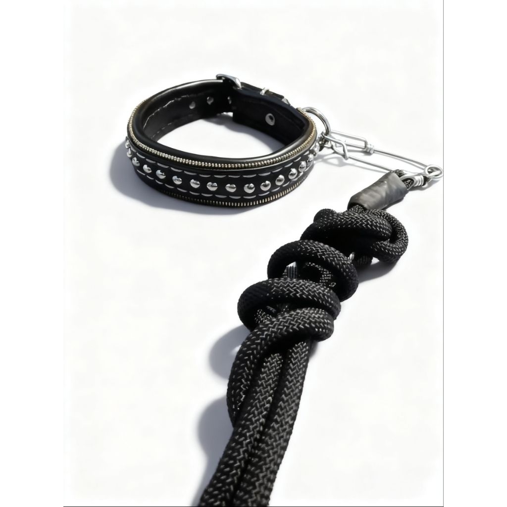 kalung anjing 2 jari paket tali petik/tali tuntun