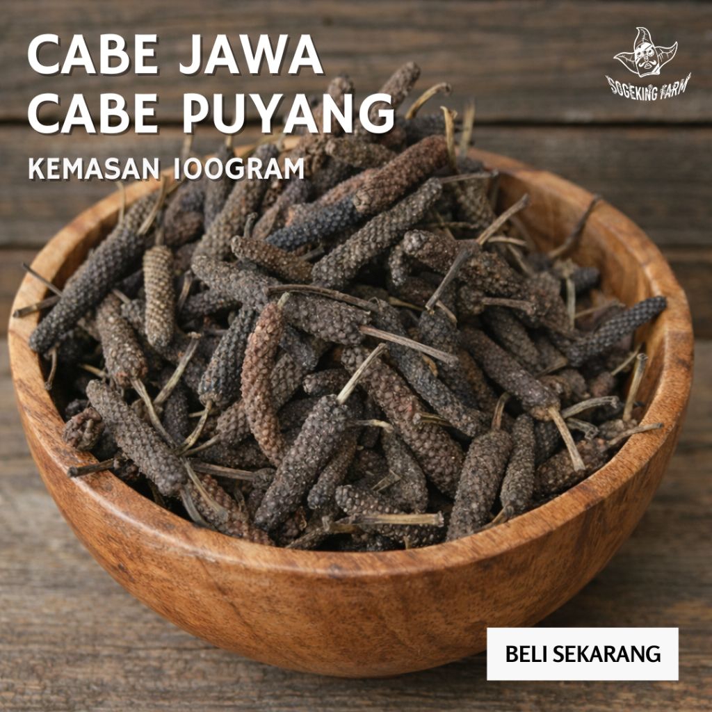 Cabe Jawa Kering Asli Nusantara (Cabe Jamu / Puyang) – Segar & Terjamin | 100 Gram