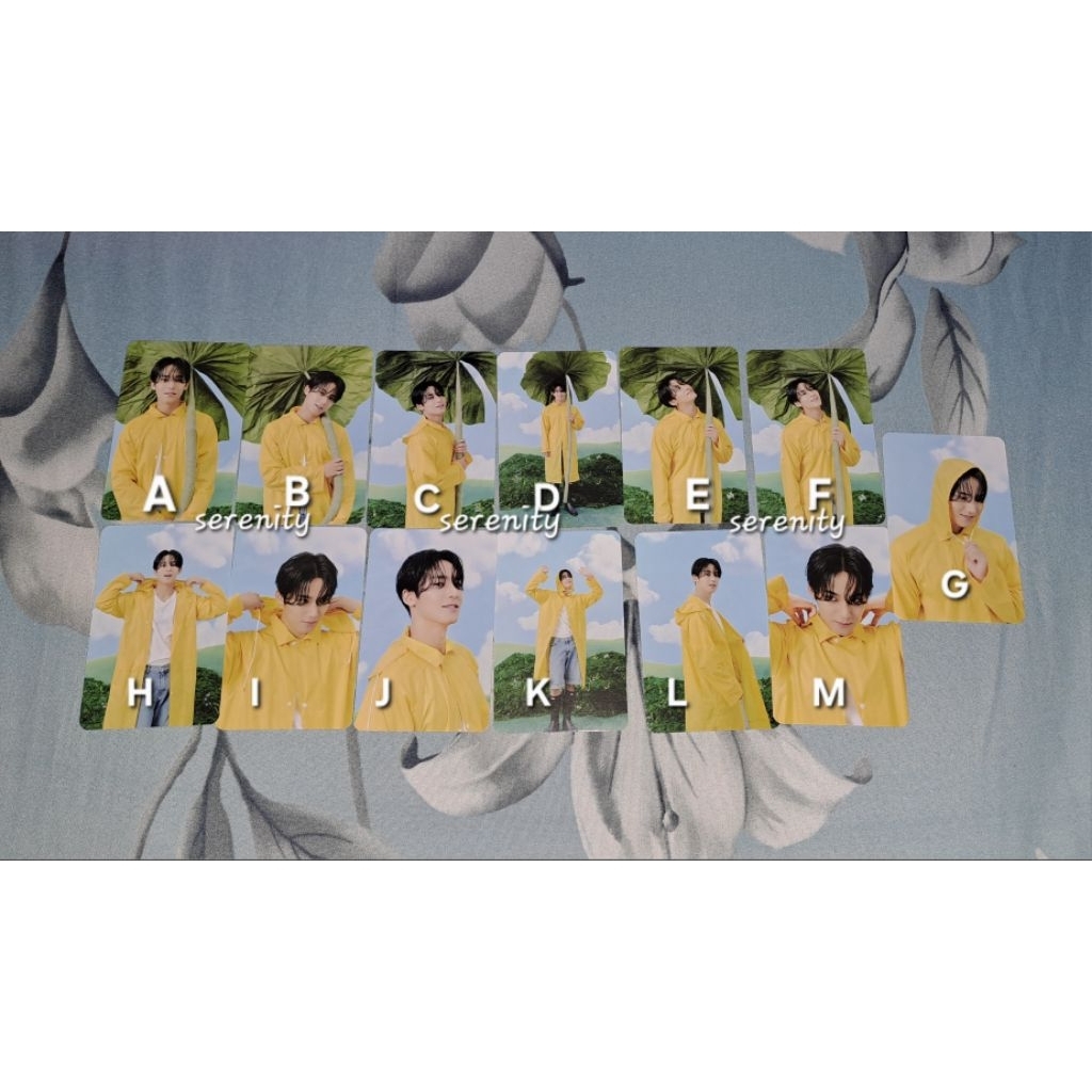 PHOTOCARD BOOKLET PC MINGYU SEVENTEENTH HEAVEN CARAT VER