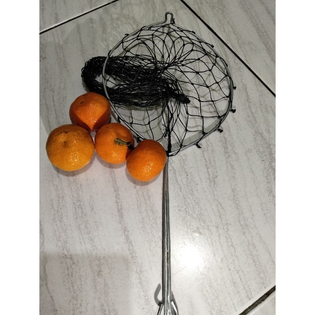 Alat Petik Buah Mangga Alpukat Kedondong dll