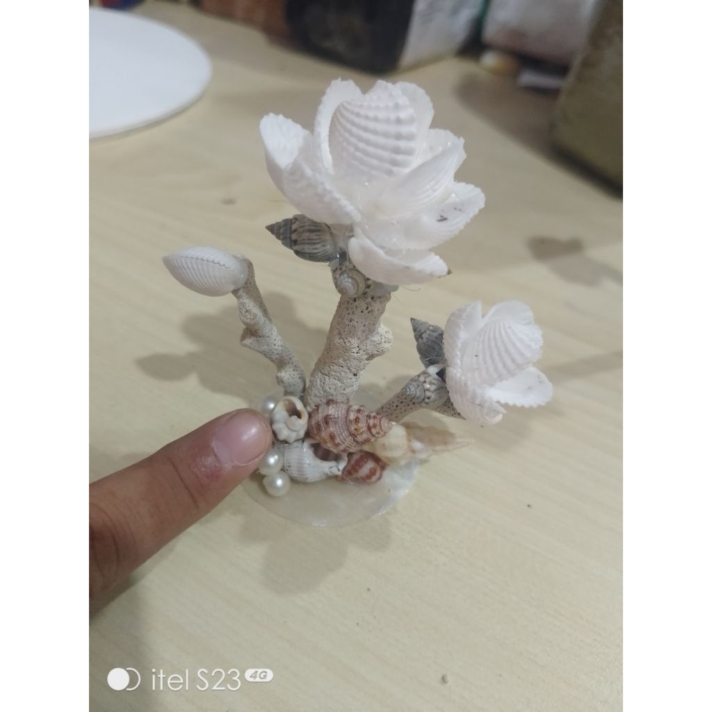 bunga kerang dara kecil hiasan meja