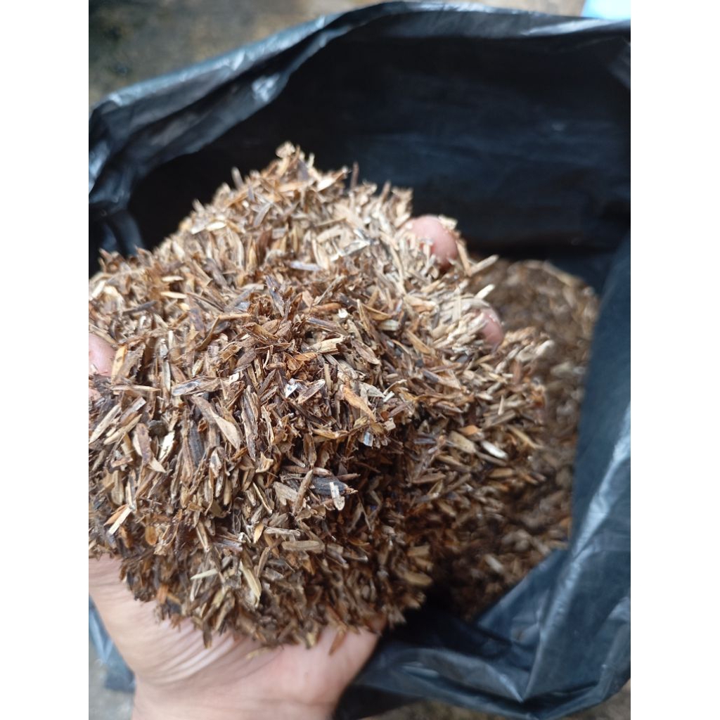 Sekam Mentah/Lapuk Fermentasi Murah