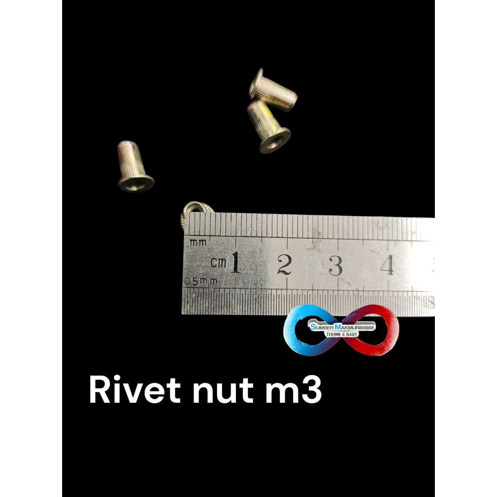 PAKET - Rivet Nut / Mur Rivet Tanam M 3 per 300 pcs