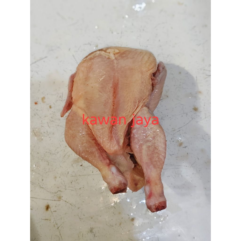 ayam boiler ayam bulat ayam utuh size 5 ons 6 ons 7 ons.