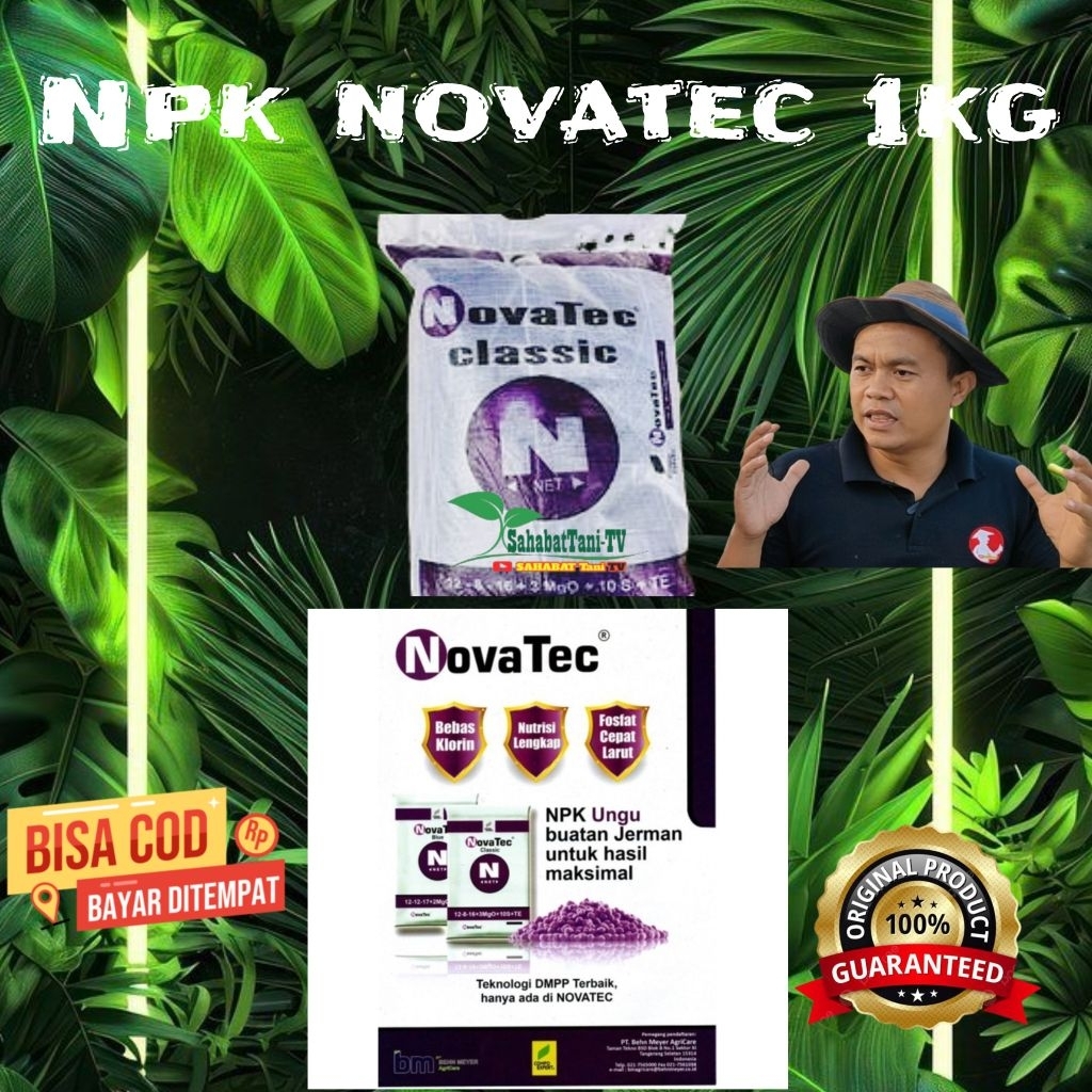 NPK NOVATEC 12-12-17-2+TE 1KG