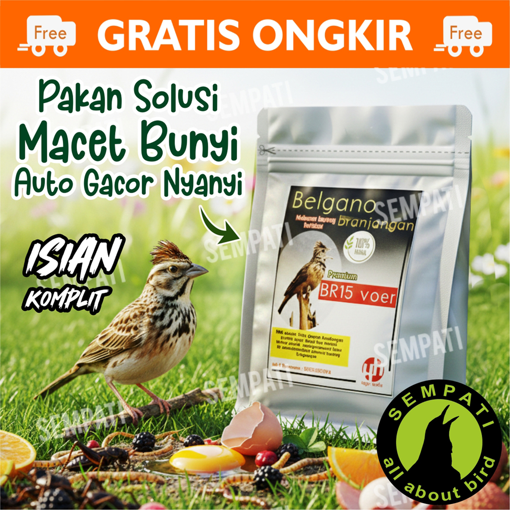 SEMPATI Belgano BR15 Voer Branjangan Super Tinggi Protein Pakan Makanan Pur Racikan Herbal Khusus Bu